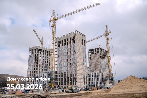 25 марта 2026