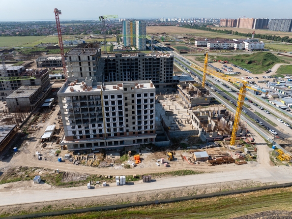 29 июля 2025