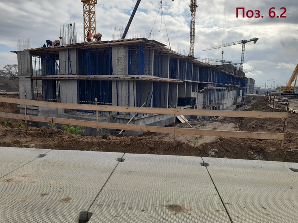 24 октября 2025