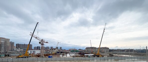 29 января 2026