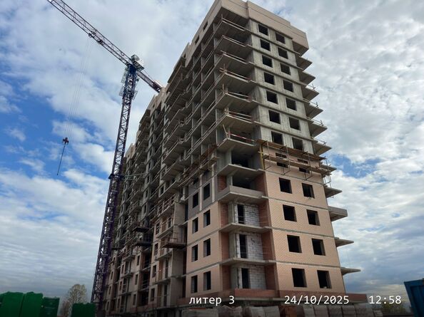 24 октября 2025