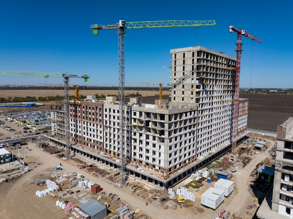 29 сентября 2025