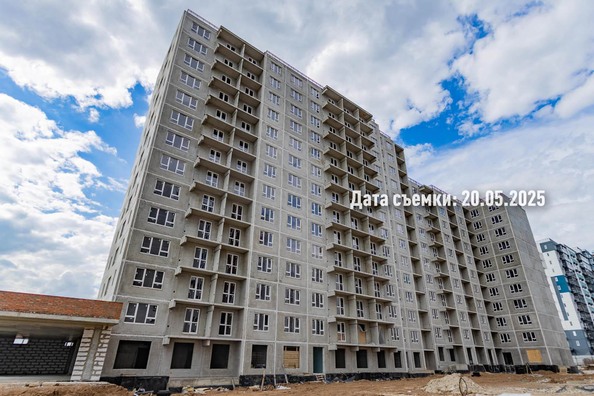 26 мая 2025