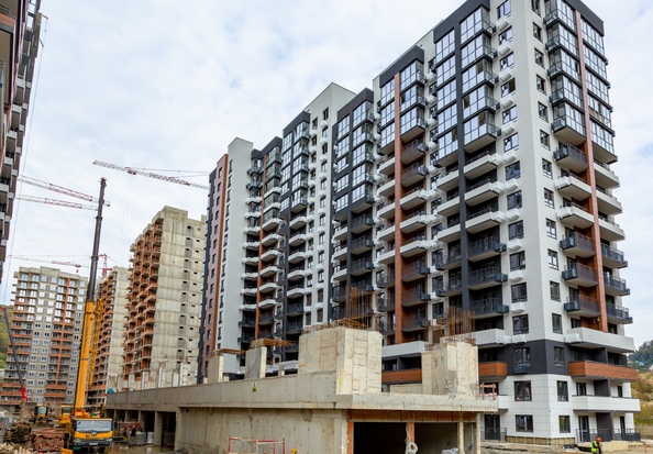 28 октября 2025