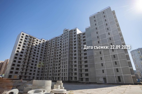 26 сентября 2025