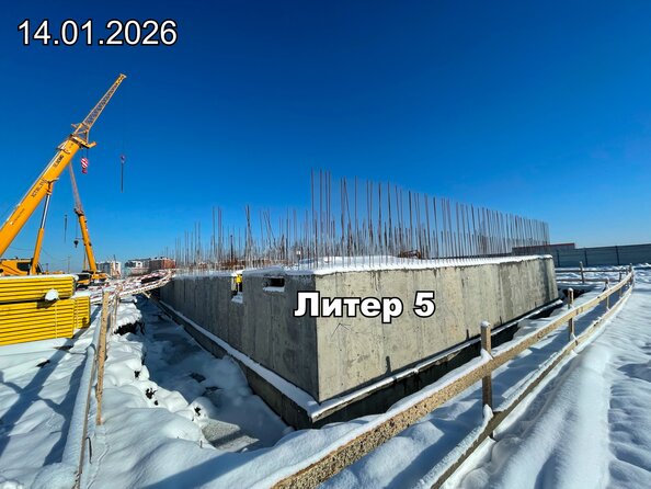 24 января 2026