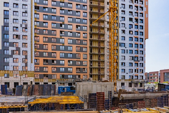 24 июля 2026