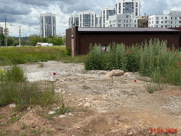 10 июня 2026