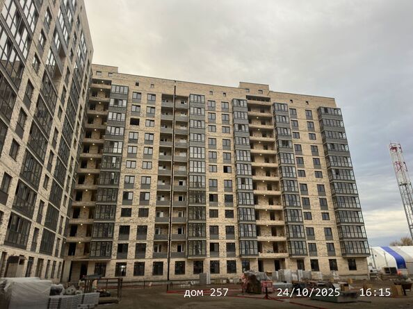 24 октября 2025