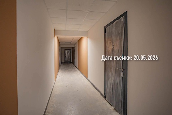 20 мая 2026