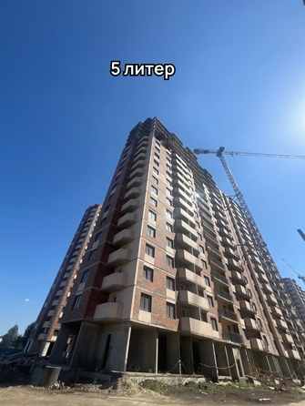 24 сентября 2024