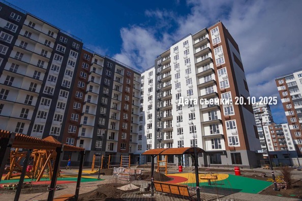 Ход строительства 24 октября 2025