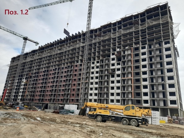 24 октября 2025