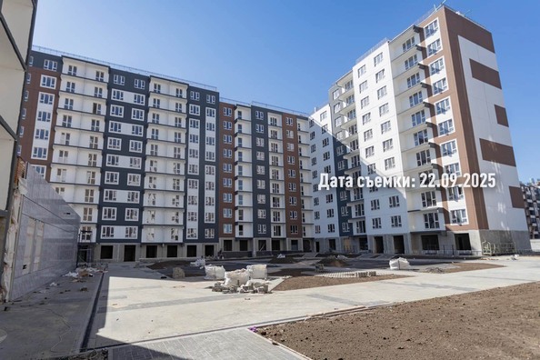 26 сентября 2025