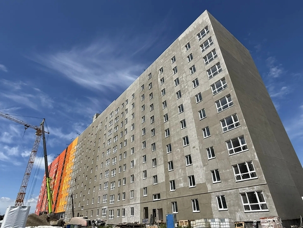 4 июня 2026
