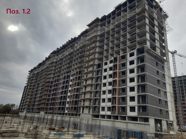 24 октября 2025