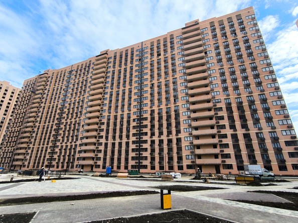 29 октября 2025