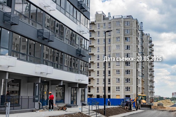 26 мая 2025