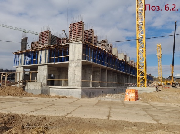 24 октября 2025