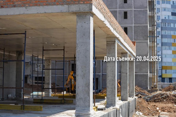 25 апреля 2025