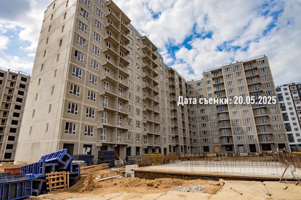 26 мая 2025