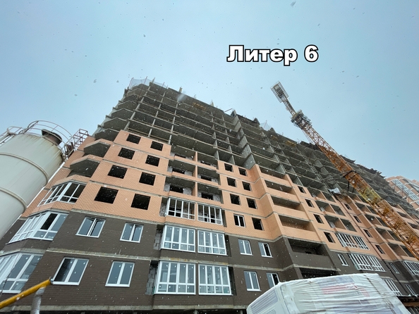 24 января 2025