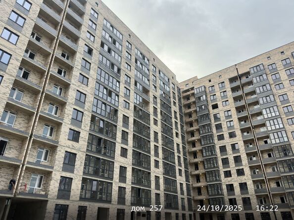 24 октября 2025