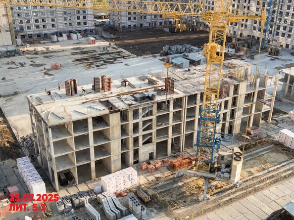 26 июля 2025