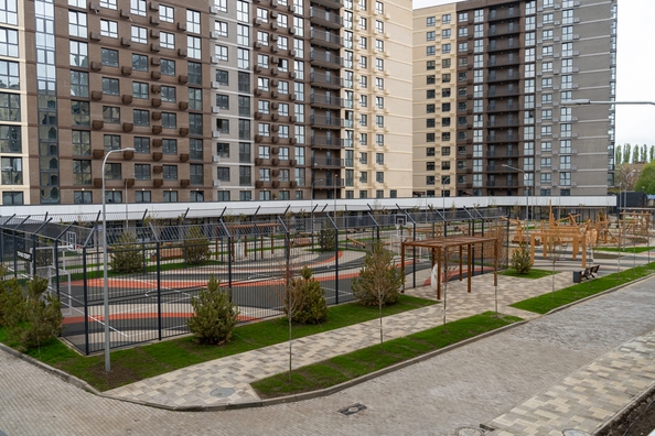 25 апреля 2025