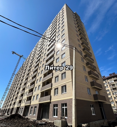 24 апреля 2025