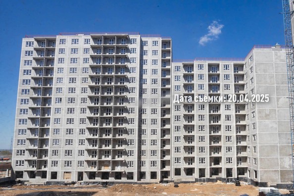 25 апреля 2025