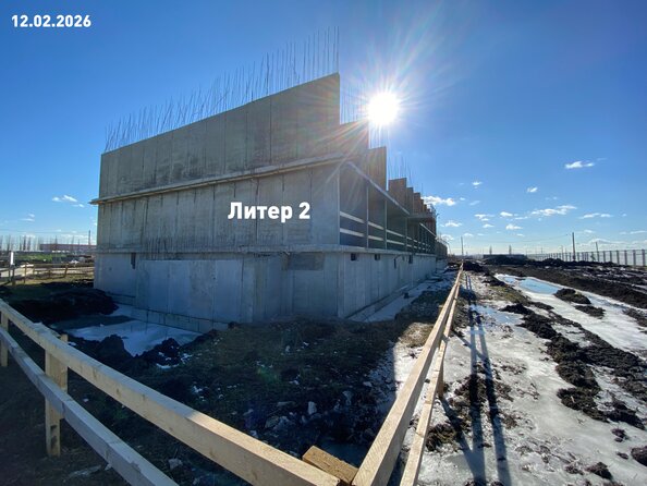 17 февраля 2026