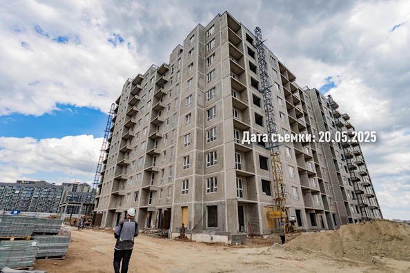 26 мая 2025