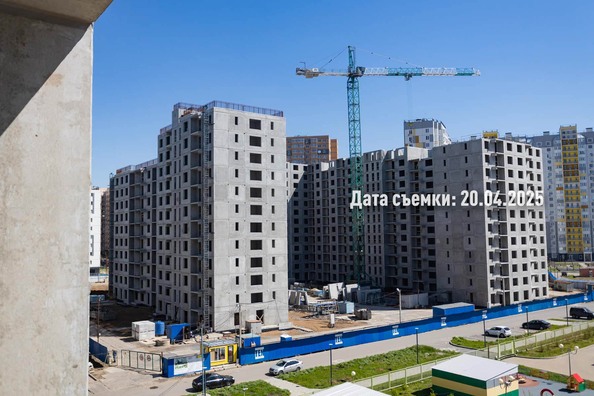 25 апреля 2025