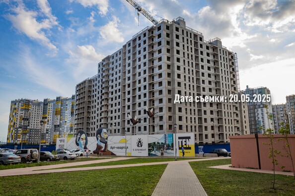 26 мая 2025