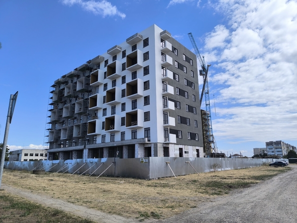 31 июля 2026