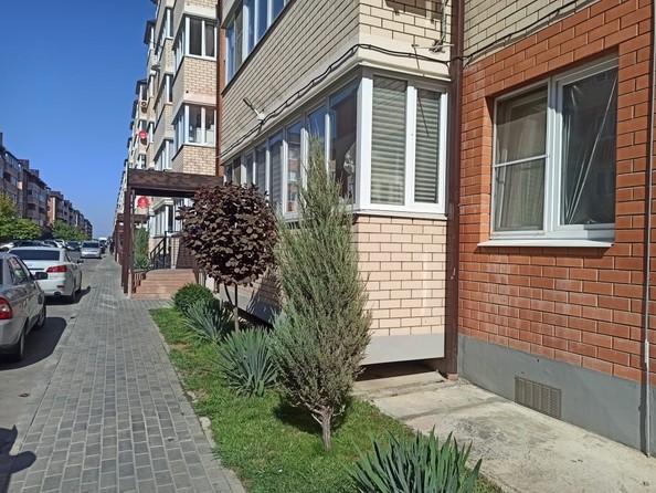 
   Продам 1-комнатную, 30 м², Тургеневское шоссе ул, 33/1к2

. Фото 5.