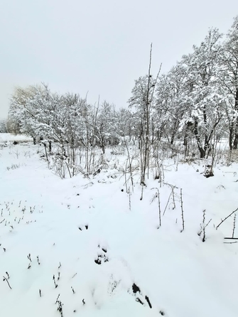 
  Продам  участок ИЖС, 15.9 соток, Гавердовский

. Фото 2.