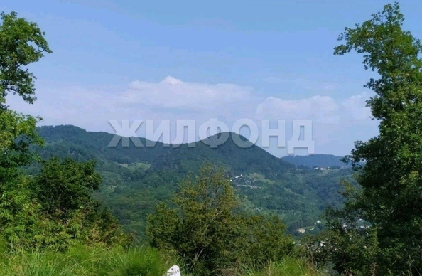 
  Продам  дачный участок Красная Воля

. Фото 1.