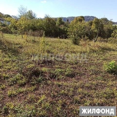 
  Продам  дачный участок Красная Воля

. Фото 2.