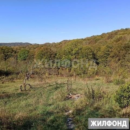 
  Продам  дачный участок Красная Воля

. Фото 3.