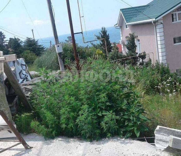 
  Продам  дачный участок Сочи

. Фото 1.