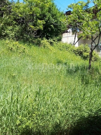 
  Продам  дачный участок Горное Лоо

. Фото 3.