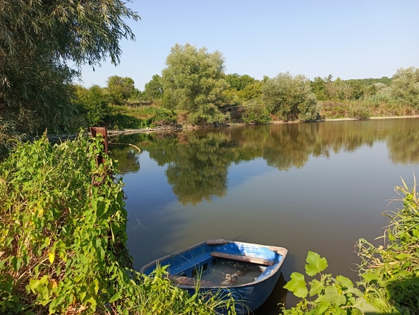 
  Продается земельный участок, 430 соток, станица Гостагаевская
. Фото 1.