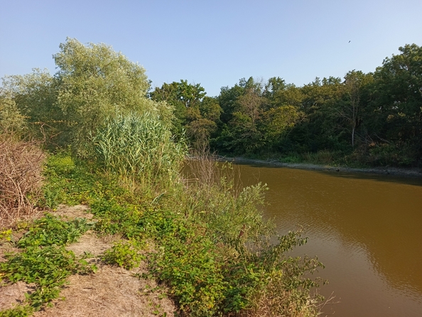 
  Продается земельный участок, 430 соток, станица Гостагаевская
. Фото 9.