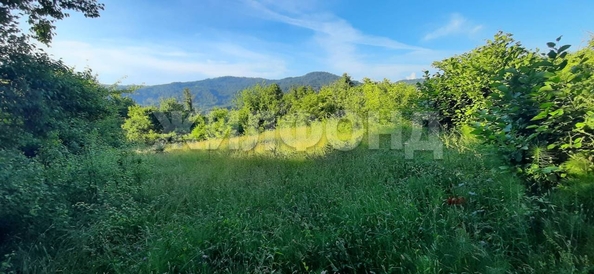 
  Продам  дачный участок Вардане-Верино

. Фото 2.