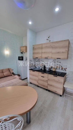 
   Продам 1-комнатную, 24.5 м², Виноградная ул, 219

. Фото 11.