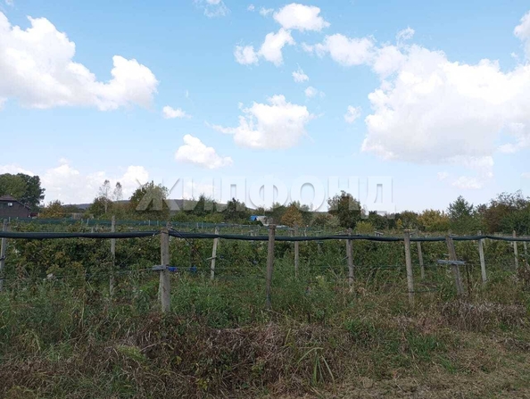 
  Продам  дачный участок Смоленская

. Фото 9.