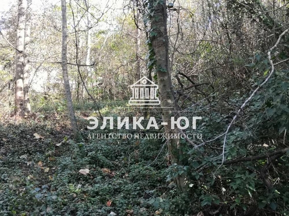 
  Продается земельный участок, 27 соток, село Вольное
. Фото 3.