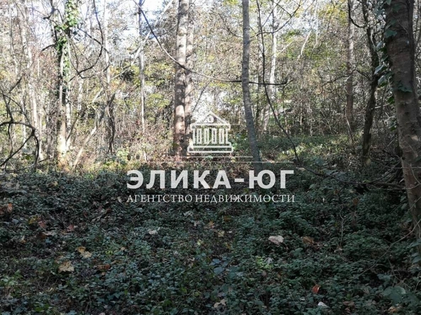 
  Продается земельный участок, 27 соток, село Вольное
. Фото 4.